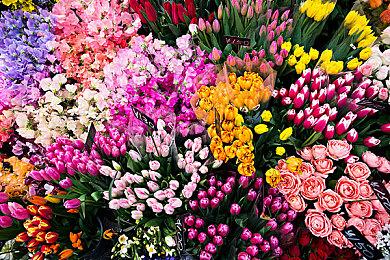 《王者荣耀》新英雄美人鱼 召唤水域刷新队友大招